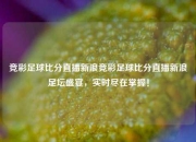 竞彩足球比分直播新浪竞彩足球比分直播新浪足坛盛宴，实时尽在掌握！