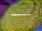 24日竞彩足球策略与分析