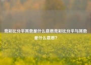 竞彩比分平其他是什么意思竞彩比分平与其他是什么意思？