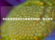 竞彩彩客网篮球比分掌握实时动态，提升胜率