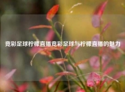 竞彩足球柠檬直播竞彩足球与柠檬直播的魅力