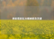 体彩竞彩比分揭秘胜负关键