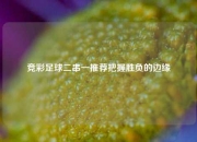竞彩足球二串一推荐把握胜负的边缘