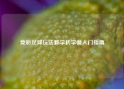 竞彩足球玩法教学初学者入门指南
