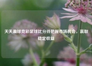 天天盈球竞彩足球比分待把握市场机会，赢取稳定收益