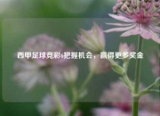 西甲足球竞彩6把握机会，赢得更多奖金