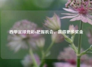 西甲足球竞彩6把握机会，赢得更多奖金