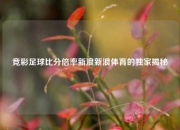 竞彩足球比分倍率新浪新浪体育的独家揭秘