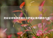 竞彩足球预测直播比分把握比赛的瞬息万变