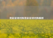 竞彩足球对阵竞彩足球对阵解析