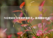 今日竞彩比分预测把握机会，赢得精彩对决