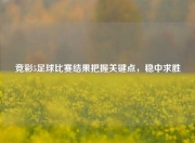 竞彩5足球比赛结果把握关键点，稳中求胜