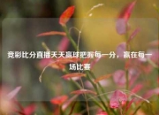 竞彩比分直播天天赢球把握每一分，赢在每一场比赛