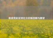 新浪竞彩足球比分旧版回顾与展望