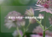英超比分竞彩一场精彩的足球盛宴