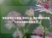 竞彩足球比分直播_即时比分_竞彩网实时更新与专业预测的完美结合