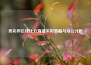 竞彩网足球比分直播实时更新与专业分析