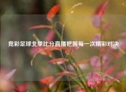 竞彩足球北单比分直播把握每一次精彩对决