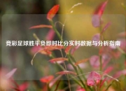 竞彩足球胜平负即时比分实时数据与分析指南