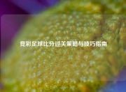 竞彩足球比分过关策略与技巧指南