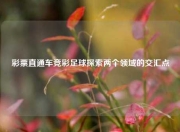 彩票直通车竞彩足球探索两个领域的交汇点