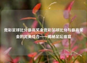 竞彩足球比分最高奖金竞彩足球比分与最高奖金的完美结合——揭秘足坛盛宴