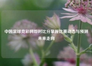 中国足球竞彩网即时比分掌握比赛动态与预测未来走向