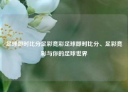足球即时比分足彩竞彩足球即时比分、足彩竞彩与你的足球世界