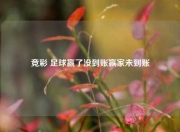 竞彩 足球赢了没到账赢家未到账