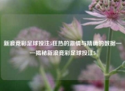新浪竞彩足球投注5狂热的激情与精确的数据——揭秘新浪竞彩足球投注5
