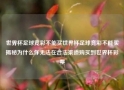 世界杯足球竞彩不能买世界杯足球竞彩不能买揭秘为什么你无法在合法渠道购买到世界杯彩票
