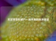 买足球竞彩破产一场未竟的泡沫盛宴