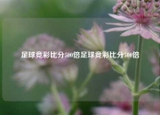 足球竞彩比分500倍足球竞彩比分500倍