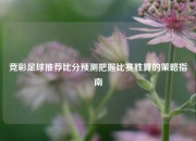 竞彩足球推荐比分预测把握比赛胜算的策略指南