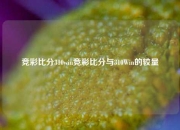 竞彩比分310win竞彩比分与310Win的较量