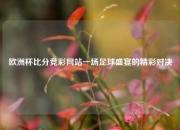 欧洲杯比分竞彩网站一场足球盛宴的精彩对决
