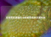 足球竞彩直播比分把握胜负的关键时刻