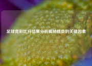 足球竞彩比分结果分析揭秘胜负的关键因素