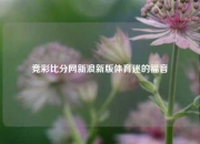 竞彩比分网新浪新版体育迷的福音