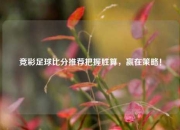 竞彩足球比分推荐把握胜算，赢在策略！