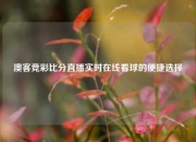 澳客竞彩比分直播实时在线看球的便捷选择