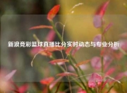 新浪竞彩篮球直播比分实时动态与专业分析