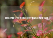竞彩足球比分直播彩实时更新与专业预测