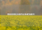竞彩足球比分技巧让你成为高手！