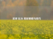 足球 比分 竞彩策略与技巧