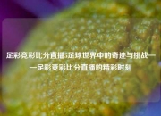 足彩竞彩比分直播5足球世界中的奇迹与挑战——足彩竞彩比分直播的精彩时刻