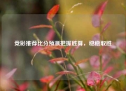 竞彩推荐比分预测把握胜算，稳稳取胜