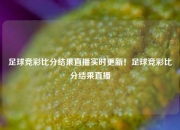 足球竞彩比分结果直播实时更新！足球竞彩比分结果直播
