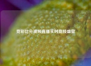 竞彩比分视频直播实时竞技盛宴