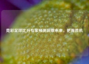竞彩足球比分专家预测洞察未来，把握胜机